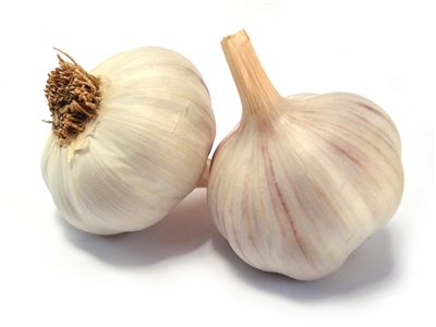 Picture Of Garlic For Vampires