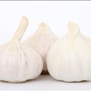 Picture Of Vampires And Garlic